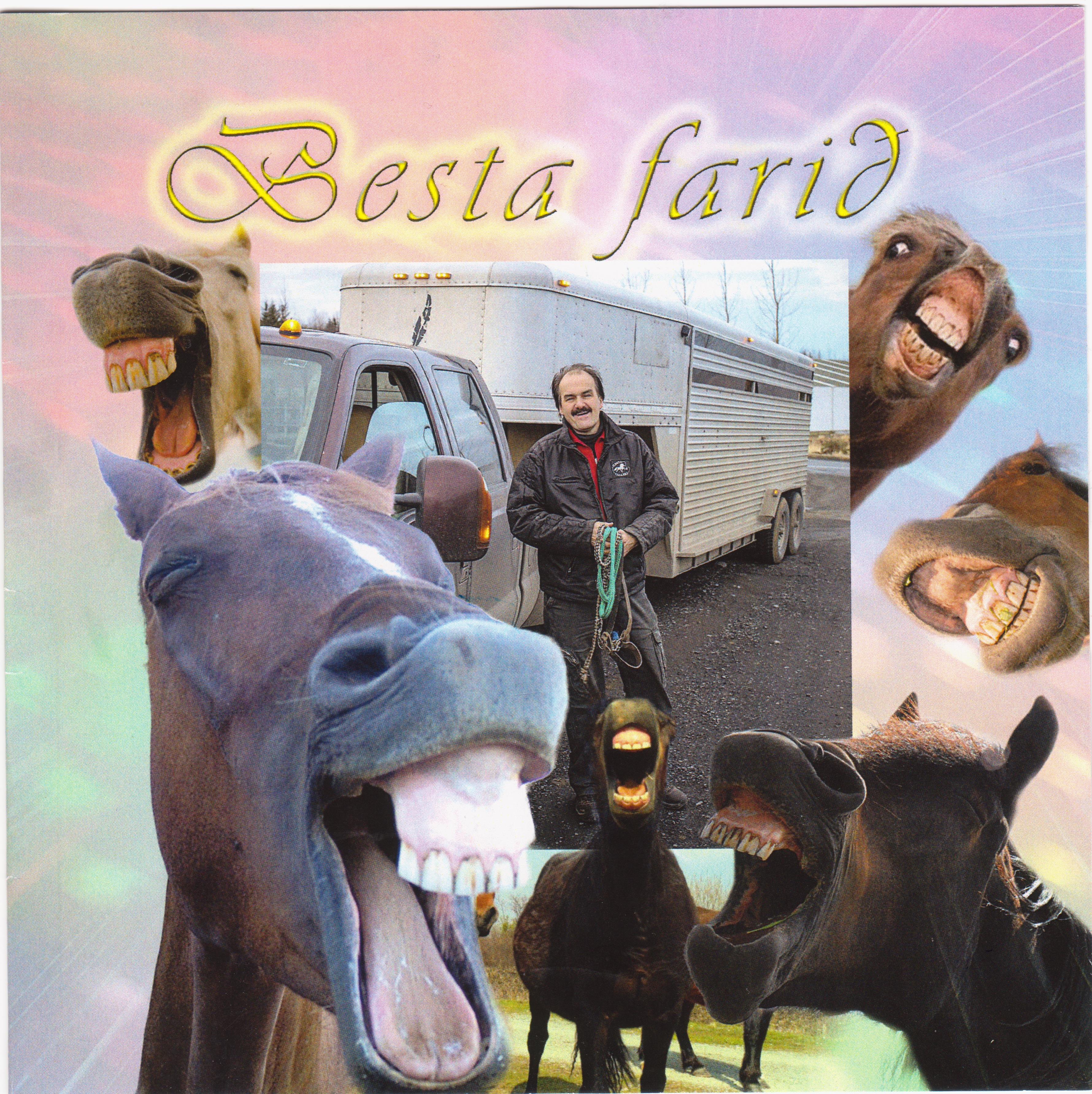 hestaflutningar 001 hestaflutningar 001