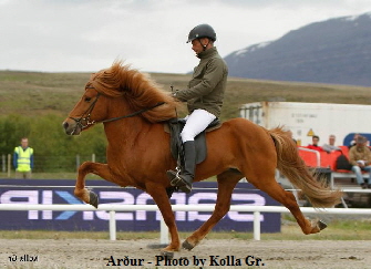 ardur_kollagr ardur_kollagr