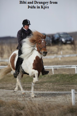 bibi_drangey bibi_drangey