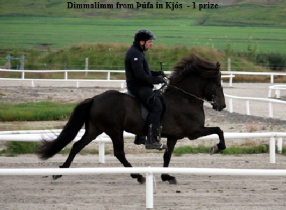 dimmalimm4 dimmalimm4