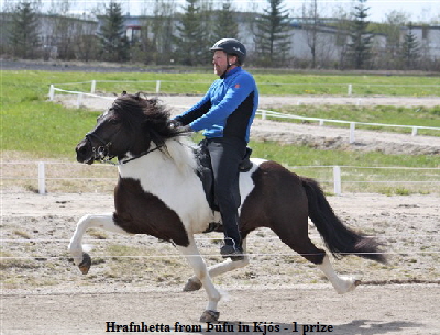 hrafnhetta-skei hrafnhetta-skei