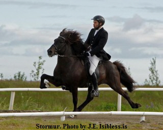 stormur_net_je stormur_net_je